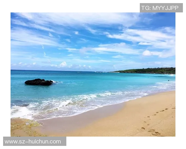 杭州极限运动队快攻策略解析与热点动态探讨 杭州极限运动队快攻策略解析与热点动态探讨