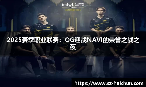 2025赛季职业联赛：OG迎战NAVI的荣誉之战之夜